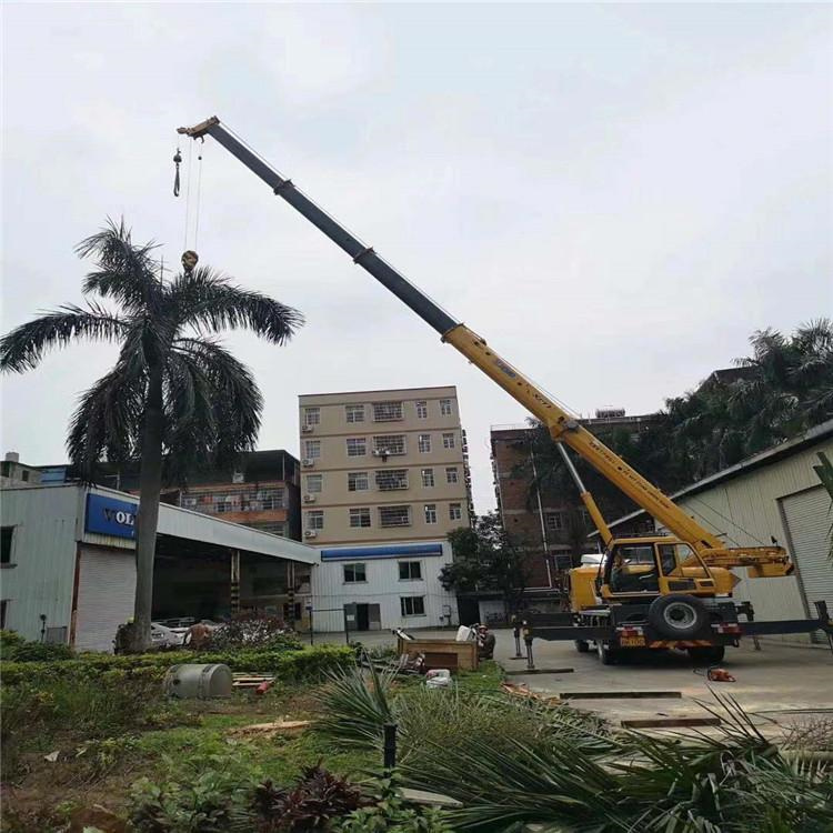 射洪汽车吊出租多少钱？全面解析与市场行情